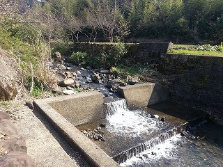 水温むころ