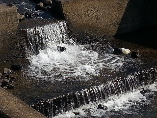 水温むころ