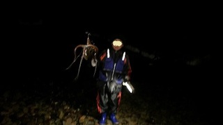 夜遊び 夜遊び