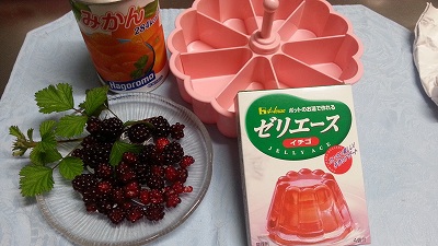 木いちごのゼリー 木いちごのゼリー