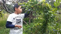 マレーシア旅行 ペナン島一周の旅