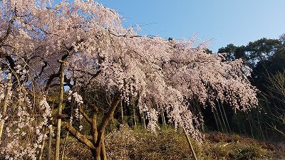 太刀洗平和祈念館 太刀洗平和祈念館