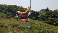 レモン絞り器で蜜柑ジュースを!