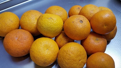 レモン絞り器で蜜柑ジュースを! レモン絞り器で蜜柑ジュースを!