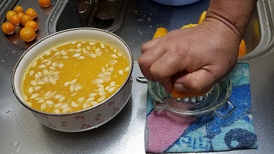 レモン絞り器で蜜柑ジュースを! レモン絞り器で蜜柑ジュースを!