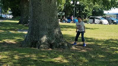 ニュージーランド5日目 マタマタ~ノボテルホテル~東京成田 ニュージーランド5日目 マタマタ~ノボテルホテル~東京成田