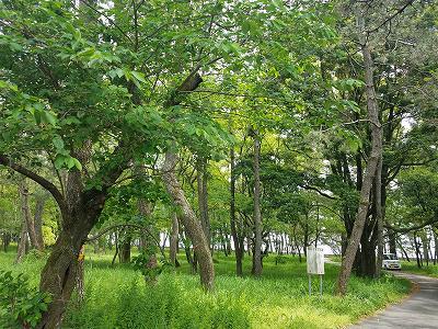 人生の節目 主人の退職 人生の節目 主人の退職