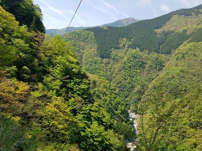 秘境の里 祖谷のかずら橋と祖谷川の小便小僧 (徳島) 秘境の里 祖谷のかずら橋と祖谷川の小便小僧 (徳島)