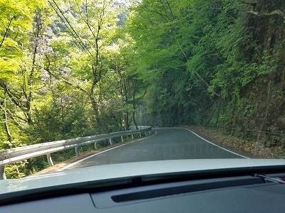 秘境の里 祖谷のかずら橋と祖谷川の小便小僧 (徳島) 秘境の里 祖谷のかずら橋と祖谷川の小便小僧 (徳島)