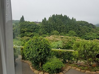 家の周りは「ねむの木」の花の海 家の周りは「ねむの木」の花の海