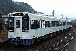 白木蓮