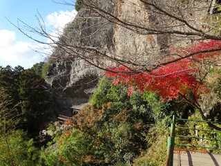 休日 紅葉狩り