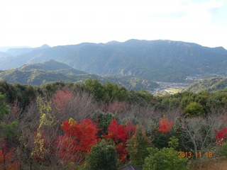 休日 紅葉狩り