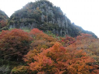 休日 紅葉狩り