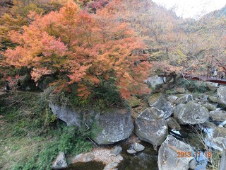 休日 紅葉狩り