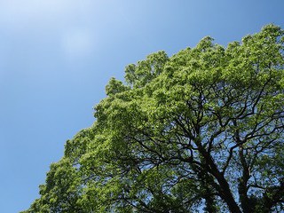 物語は一歩から 物語は一歩から