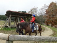 御船山楽園の紅葉