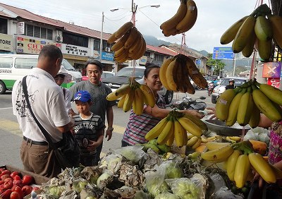 マレーシア旅行 ペナン島一周の旅 マレーシア旅行 ペナン島一周の旅