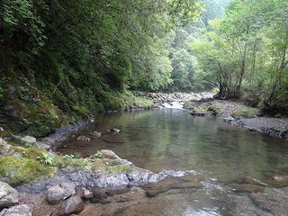 里帰り 長兄との時間 里帰り 長兄との時間