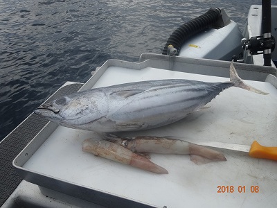 ニュージーランド4日目 ホワイトアイランド沖で大物釣りにトライ! ニュージーランド4日目 ホワイトアイランド沖で大物釣りにトライ!