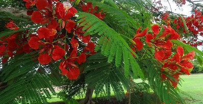 チャンギ空港 トランジットホテル休息 帰国 チャンギ空港 トランジットホテル休息 帰国