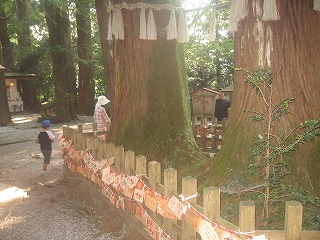 鹿児島・宮崎・熊本そして長崎の旅 その五