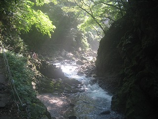 鹿児島・宮崎・熊本そして長崎の旅 その五
