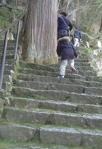 お伊勢参り 熊野古道・那智の滝