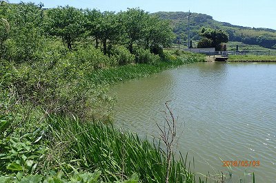 福岡ドーム 野球観戦 福岡ドーム 野球観戦