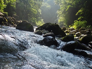 鹿児島・宮崎・熊本そして長崎の旅 その五