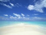 本日のご予約 2008/02/23 16:18:08
