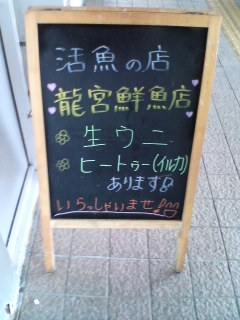 イルカあります!
