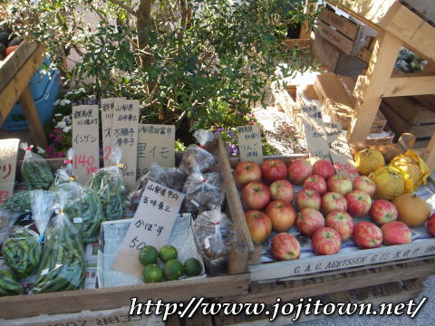 全国都市緑化フェアTOKYO に行ってきました!