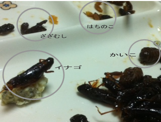 昆虫料理会