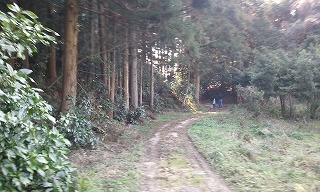 摂食障害の娘へ ひとすじの涙