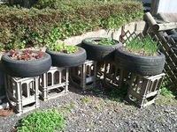 摂食障害の娘と共に 家族