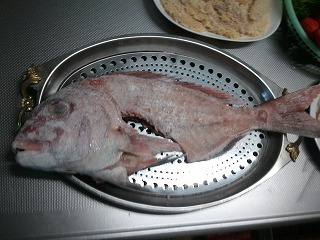 摂食障害の娘と共に 和解