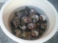 摂食障害の娘と共に 陽光