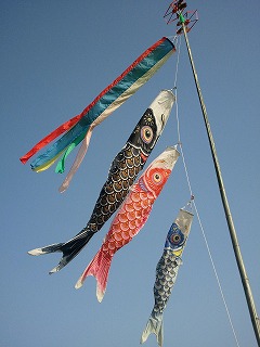 摂食障害の娘と共に 錯覚