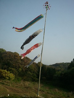 摂食障害の娘と共に 落ち着き