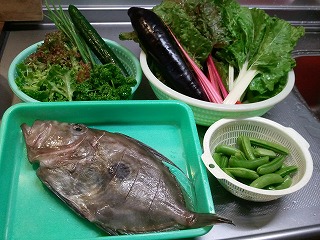 摂食障害の娘と共に 家族
