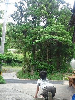 摂食障害の娘と共に 緑陰