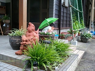 摂食障害の娘と共に 五月雨