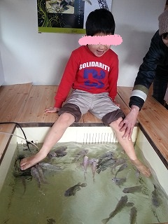 里帰り パートⅦ 湯布院