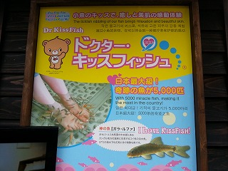 里帰り パートⅦ 湯布院