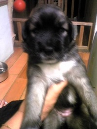 赤ちゃん 2008/06/21 12:51:15