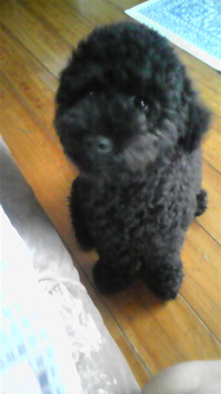 写真が… 2008/06/24 14:05:58