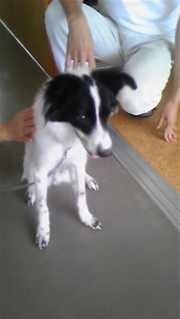 お友達 2008/08/02 19:23:48