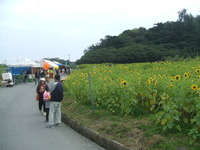 2010年01月18日