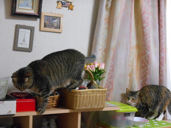 いたずら計画中?